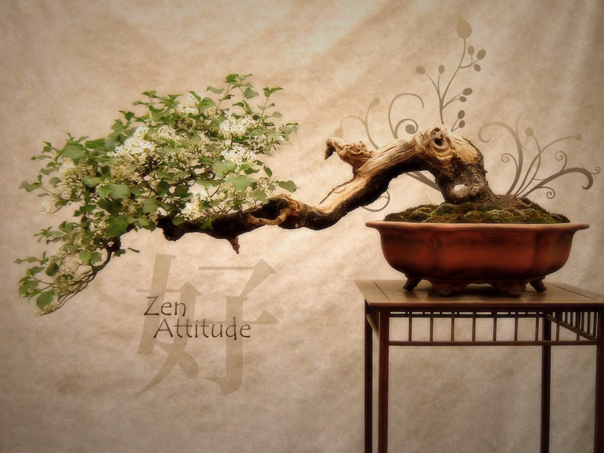 Acupuncture Lisa Paquin
