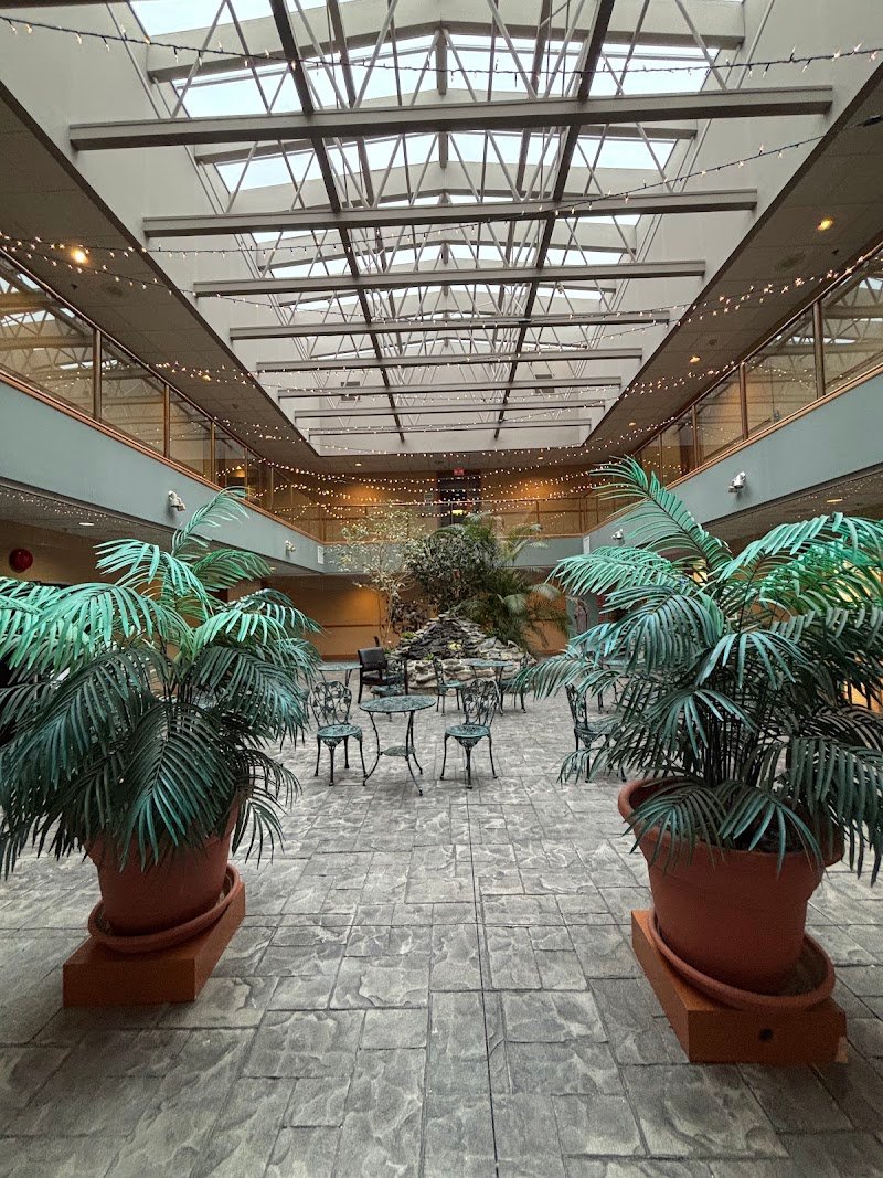 AND WELLNESS, photo 3