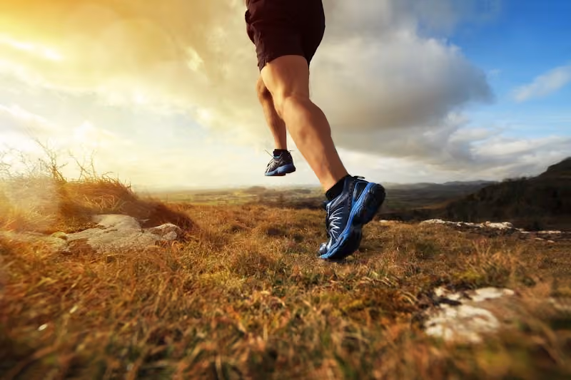 Ascent Physical Therapy