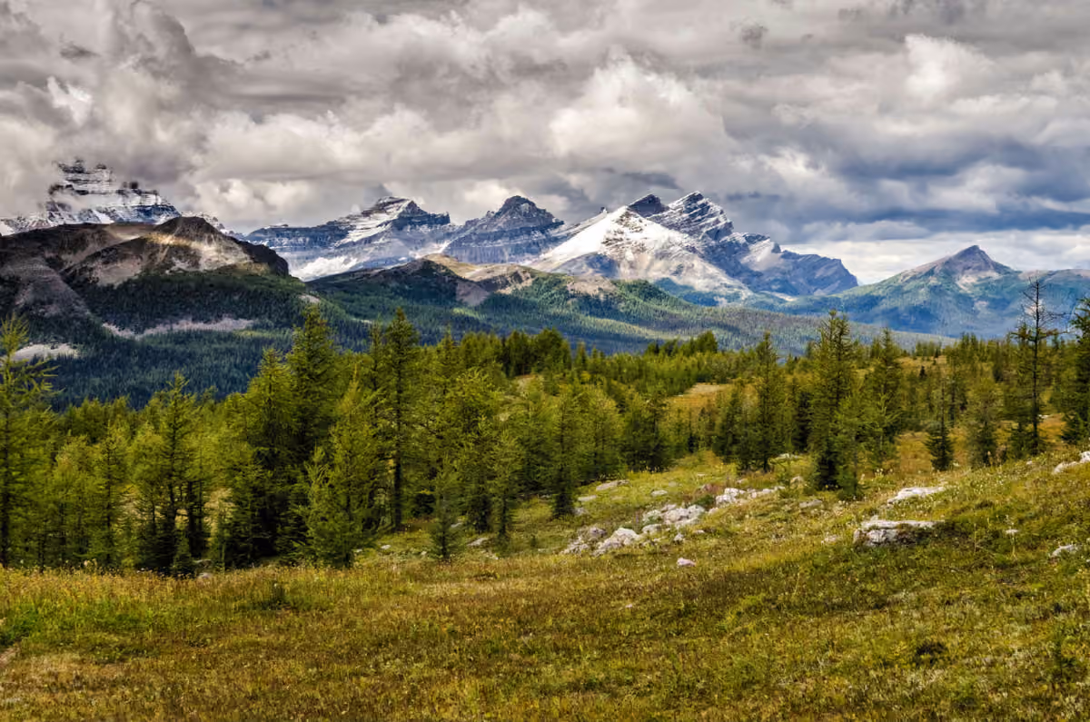 Athabasca Denture Clinic