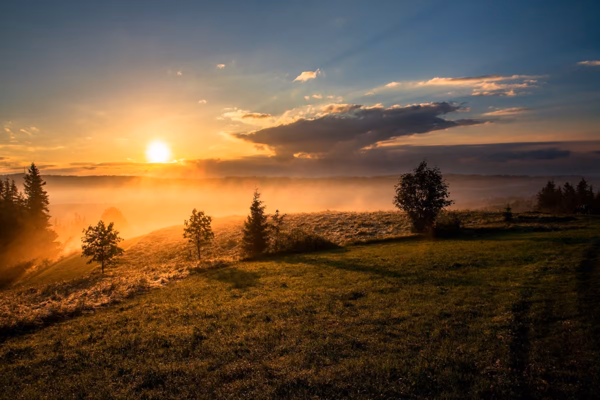 Beck Psychotherapy & Counselling