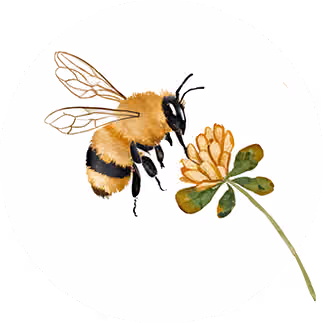 Bee Here Counselling and Therapy