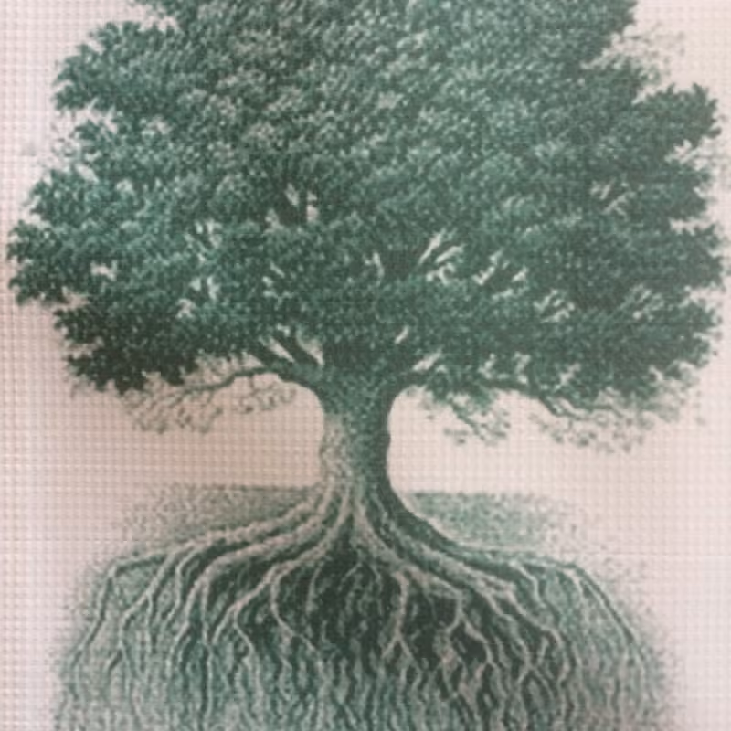 Berghauser and Associates Counselling Services