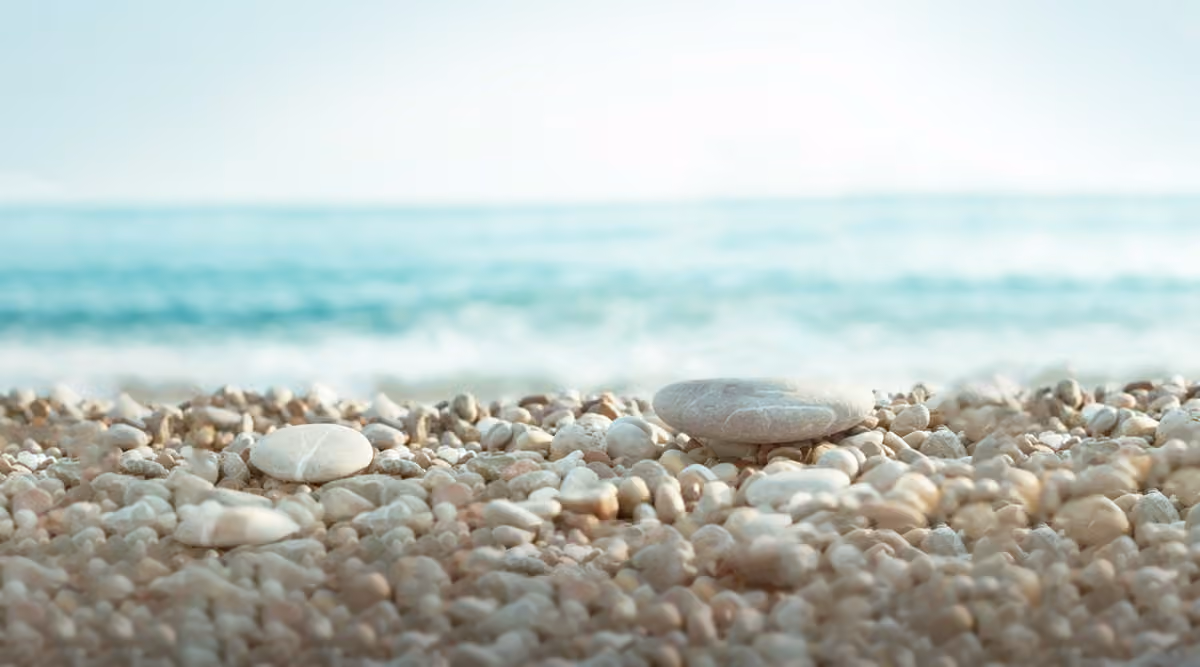 Boucher Naturopathic Clinic