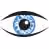 Clear Vision Eye Care - Dr. Aneela Gillani & Associates