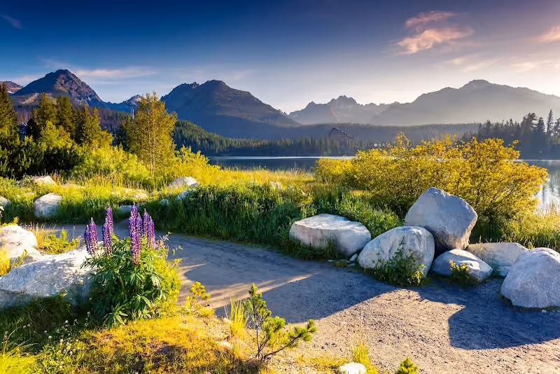 Cranbrook Wellness Centre