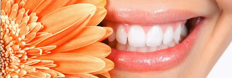 Dewdney Dental Center