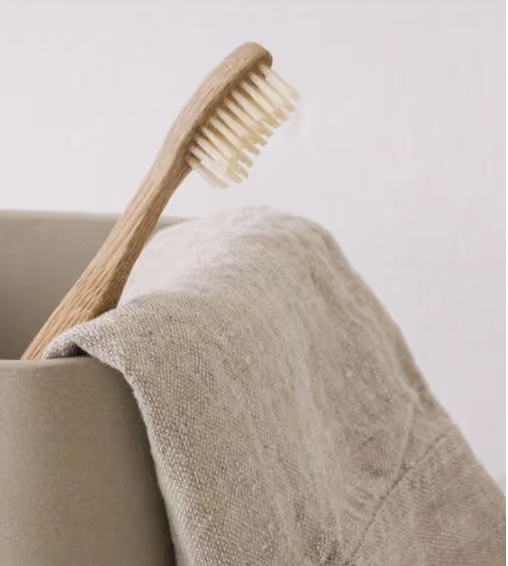 Diane Mitchell Dental Hygiene