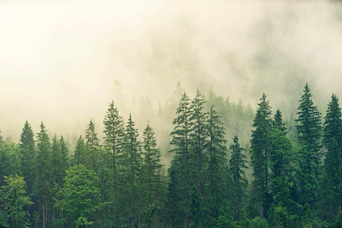 Evergreen Spirit Massage Therapy Inc