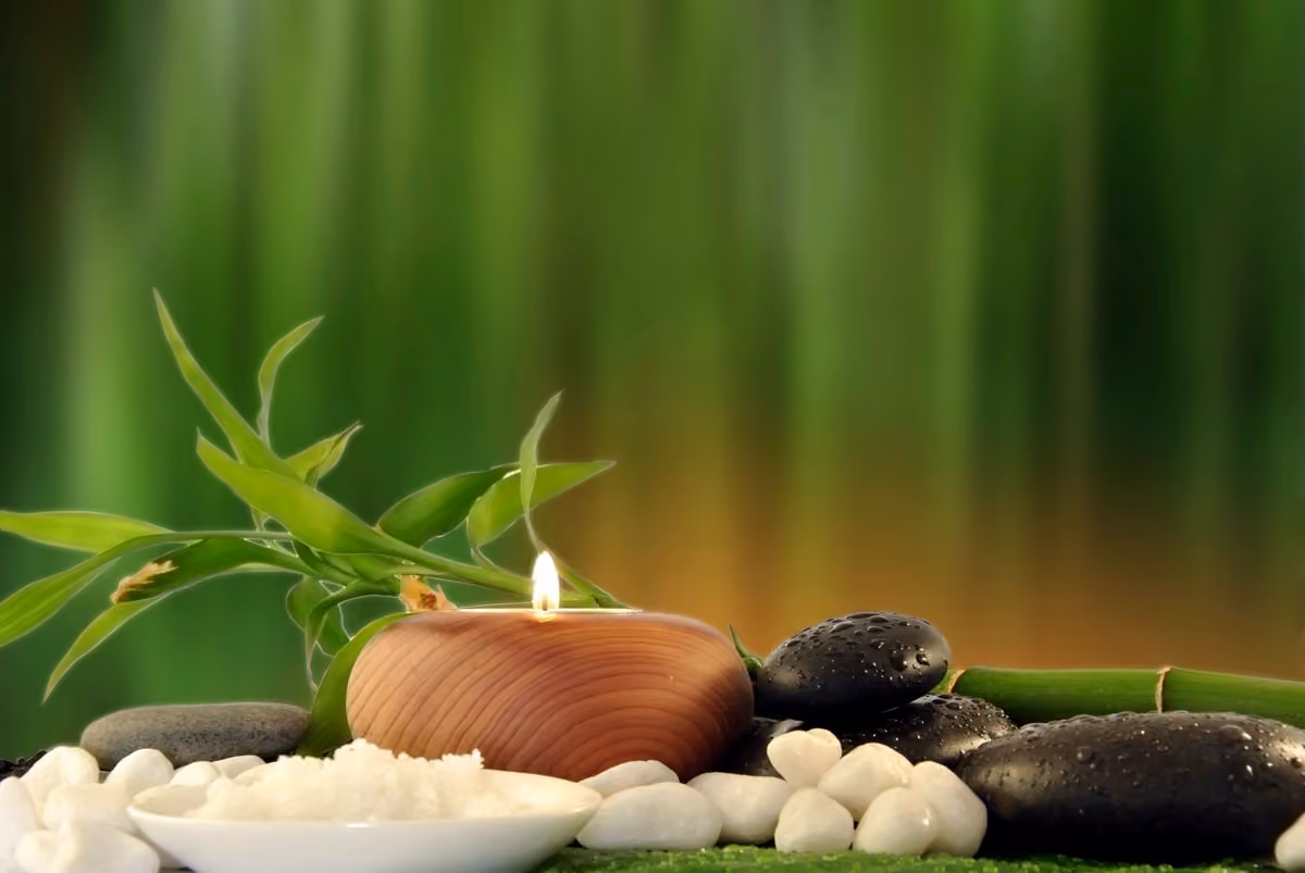 Feng Li Acupuncture Clinic