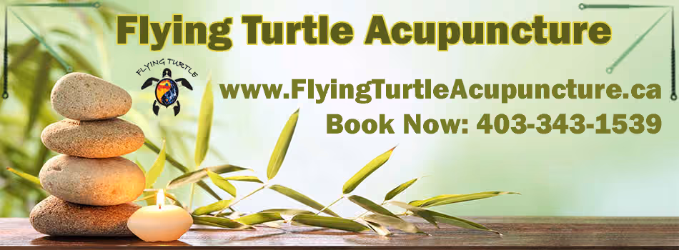 Flying Turtle Acupuncture & Massage