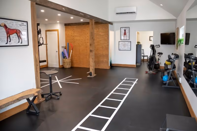 Fraser Valley Sport Physiotherapy