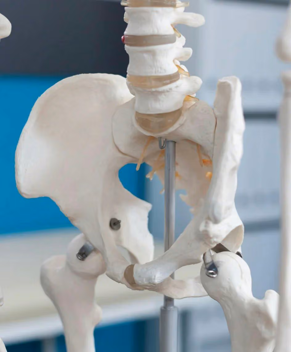 GVC Physiotherapy in Fort St. John, British Columbia