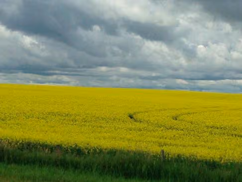 Innisfail Chiropractic and Massage