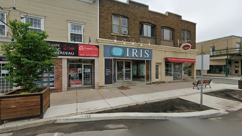 Iris in Lachute, Quebec