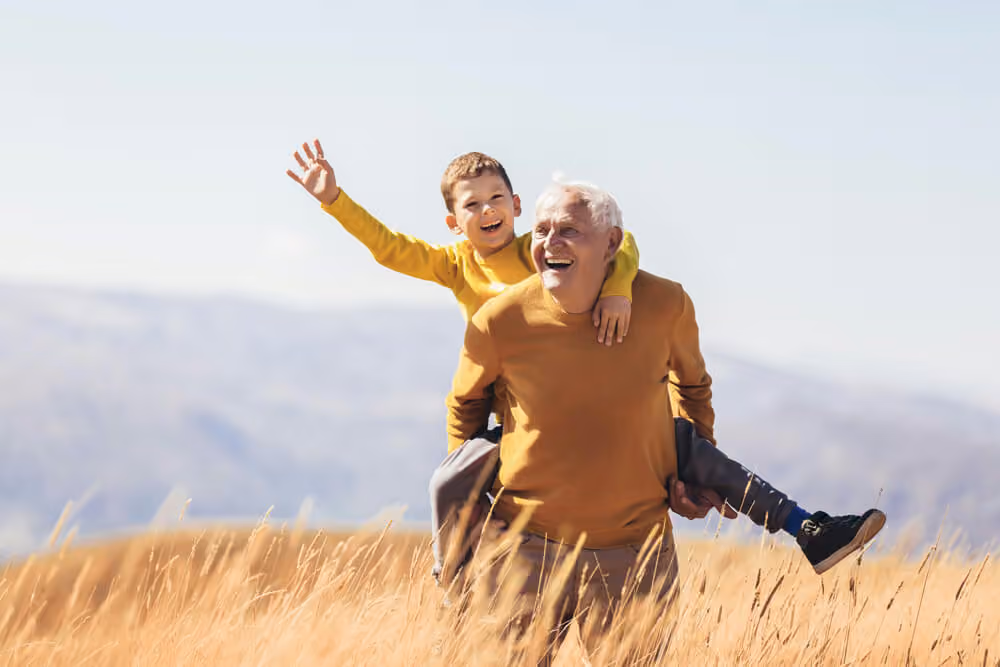 Johnston Chiropractic - Fredericton