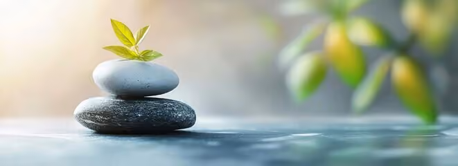 Kaizen Wellness Centre