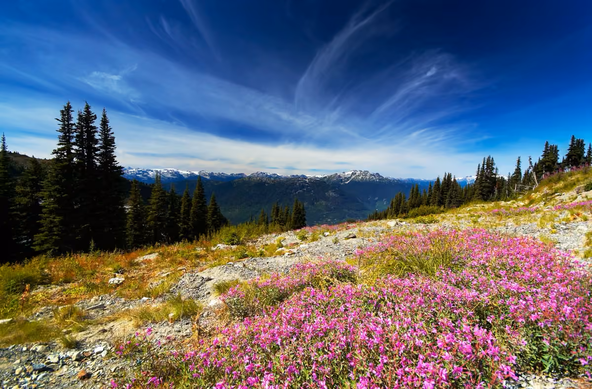 Kiro Wellness Centre in Trail, British Columbia