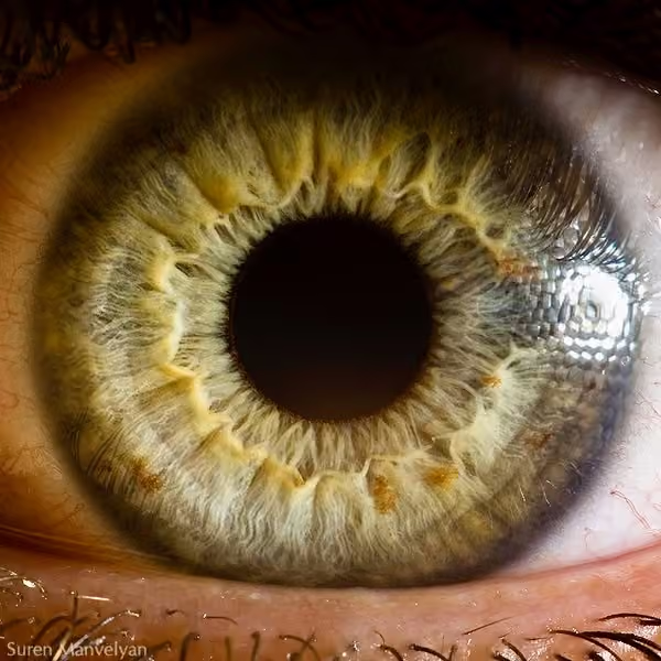 Kniaziew Optometry (Formerly Windsor Optometric Centre)