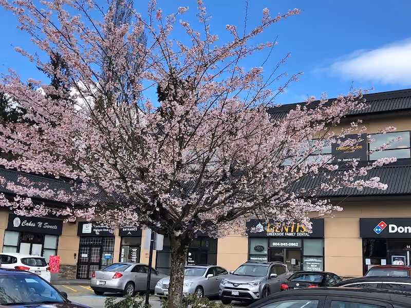 Lansdowne Chiropractic