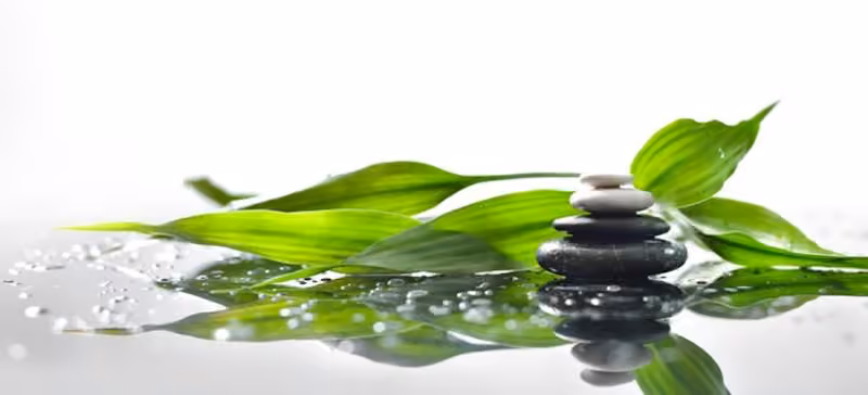 Leduc Counselling Connection