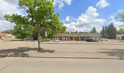 Michelle Renes- Pain B Gone in Wetaskiwin, Alberta