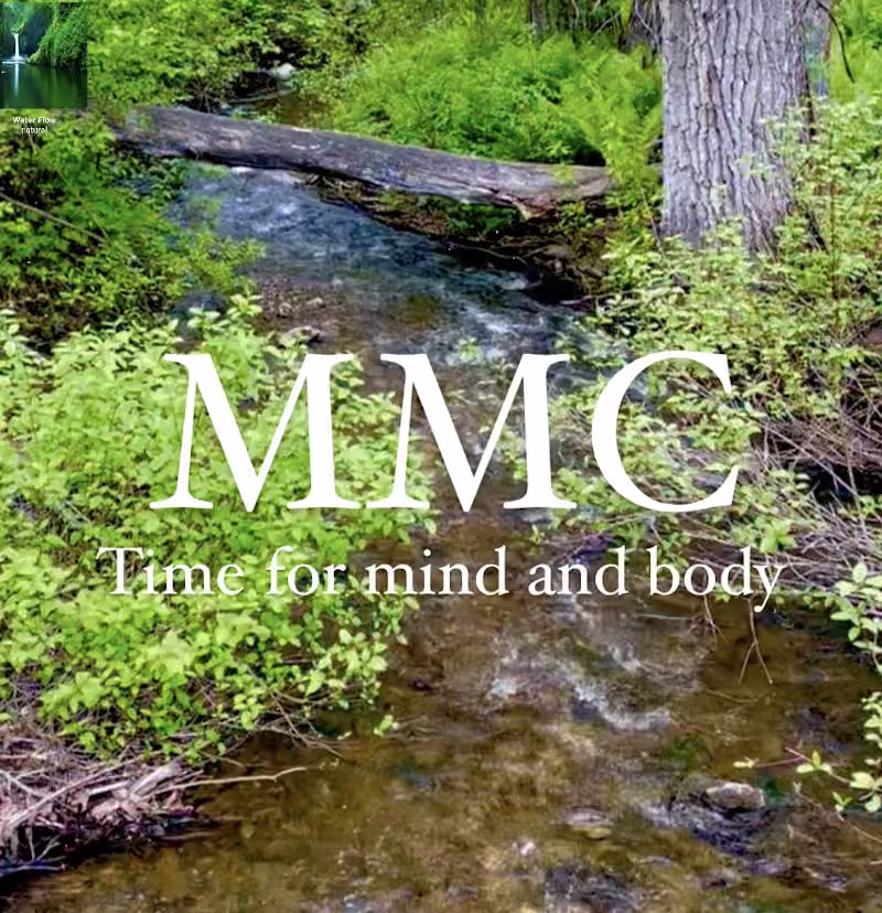 Mind Map Counselling (MMC)