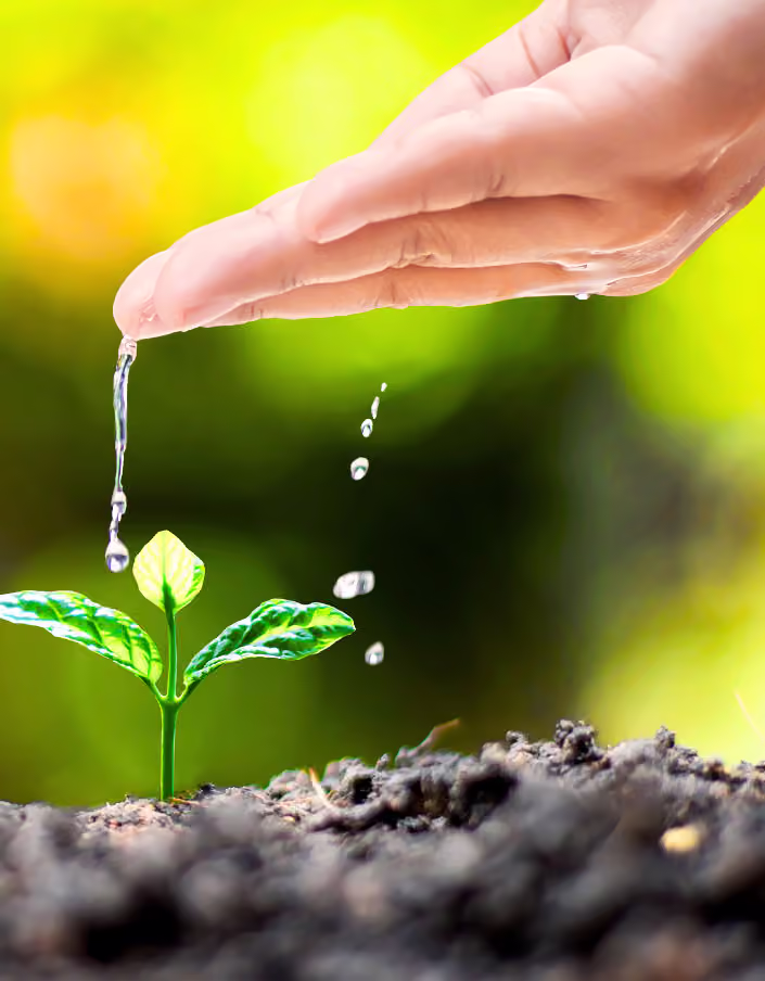 NewLeaf Counselling Services, Inc