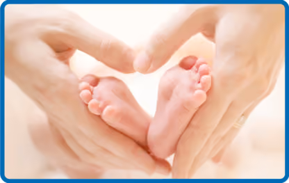 North Peace Chiropractic