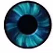 Northern Alberta Eye Surgery Clinic