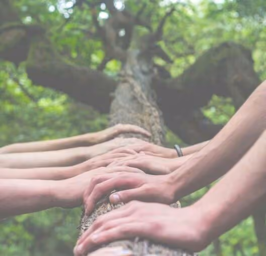 Nurture Family Chiropractic