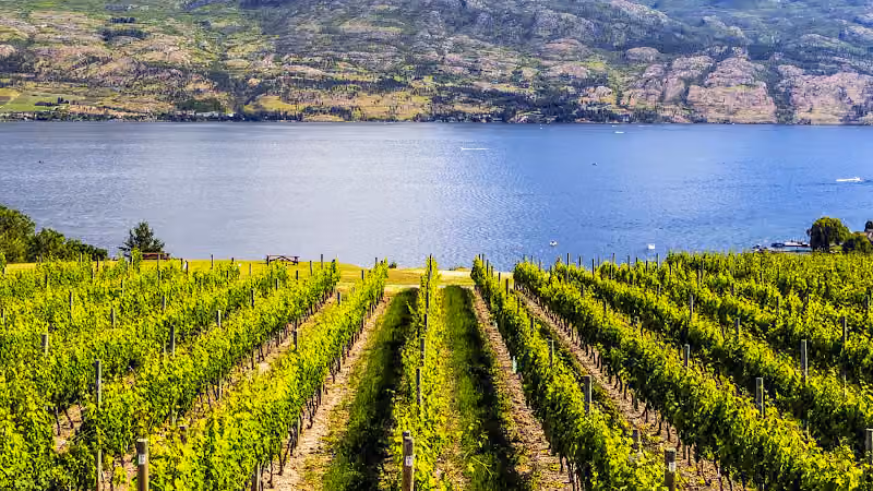 Okanagan Dentistry