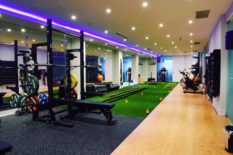 Push Pounds Sports Medicine - Physiotherapy Toronto, Nstride, PRP and DEXA scan, photo 2