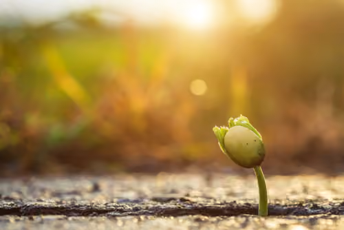Restored Hope Counselling Services