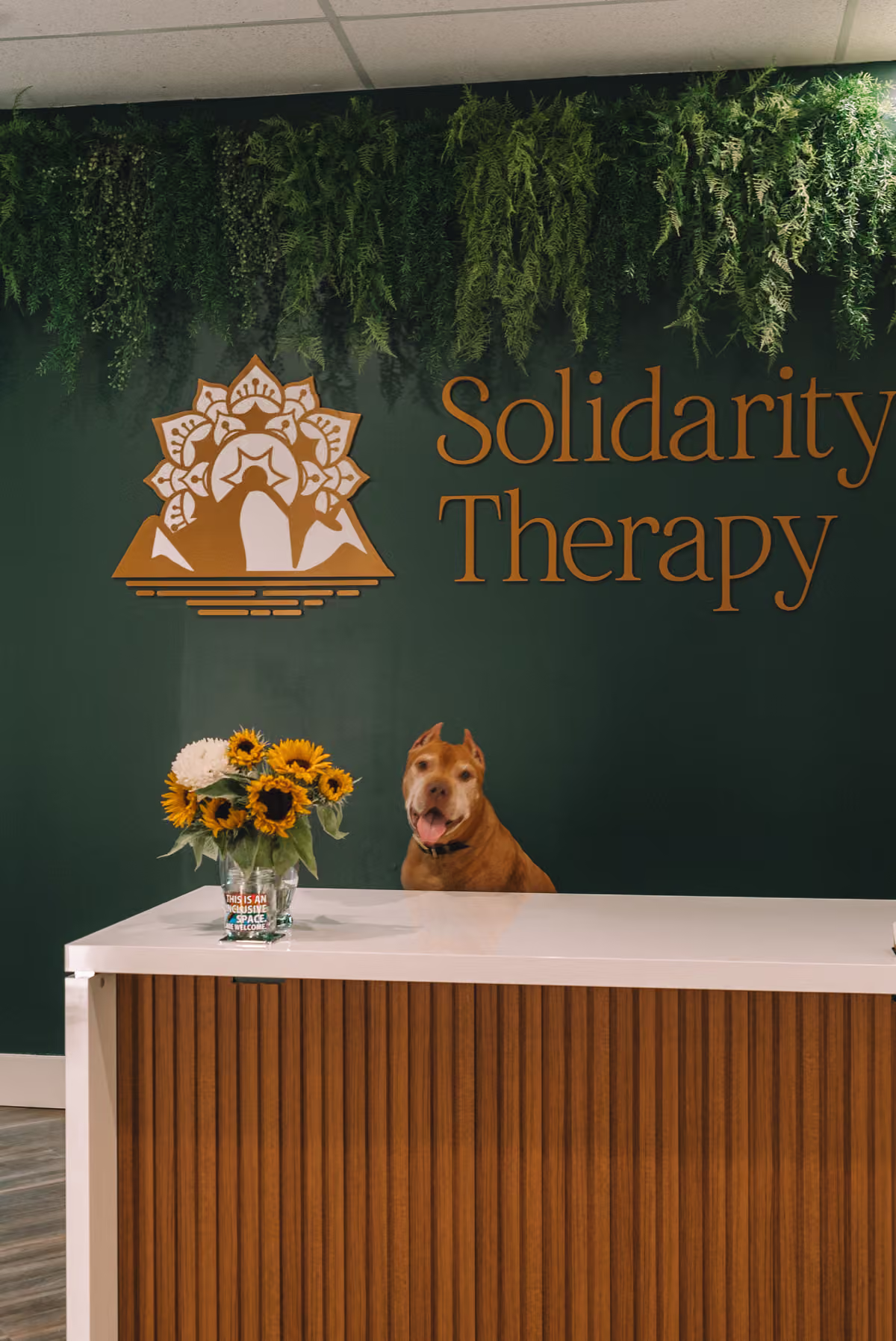 Solidarity Therapy