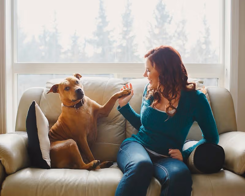 Summit Counselling Services