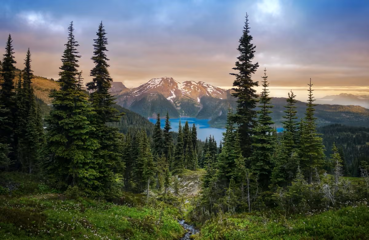 Tamarack Medical Group