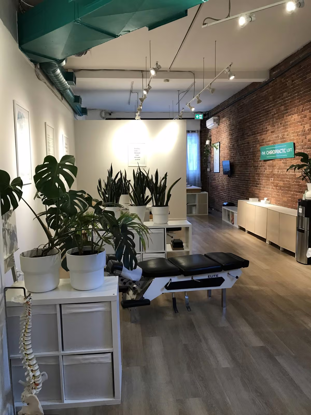The Chiropractic Loft