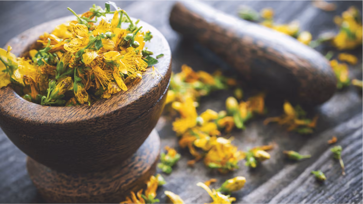 The Healing Hive, Wellness Collective