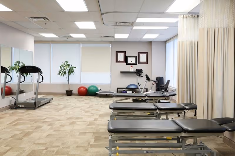 The Physiotherapy Professionals