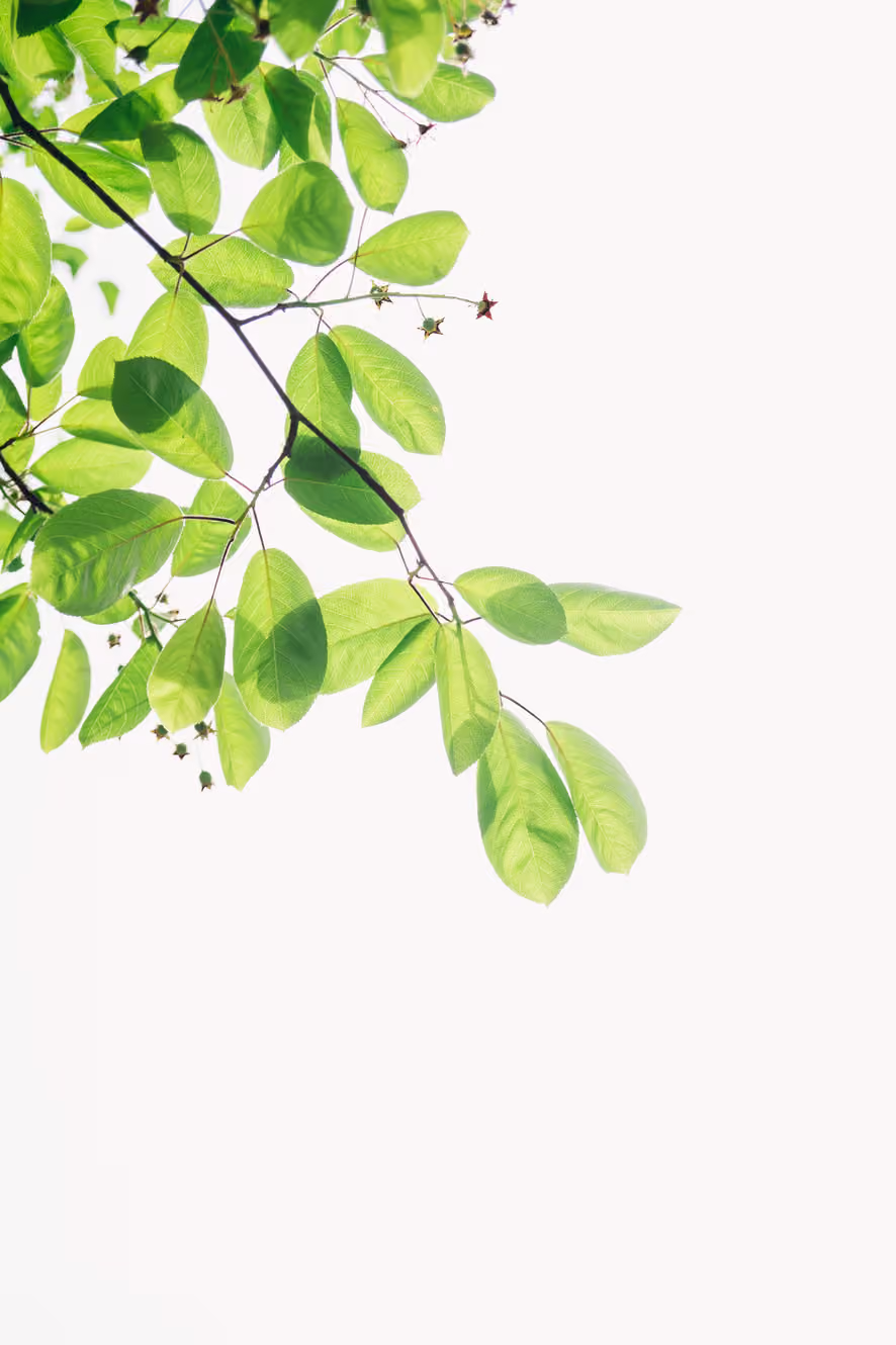 Vita Counselling Burnaby