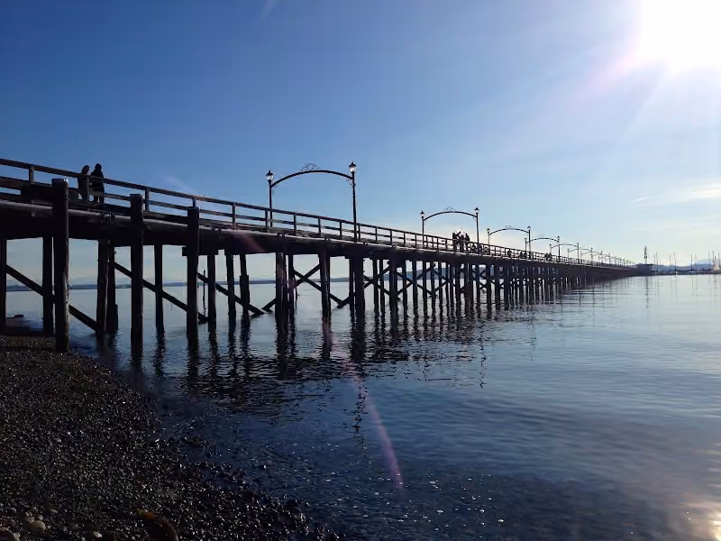 Waterfront Massage Therapy