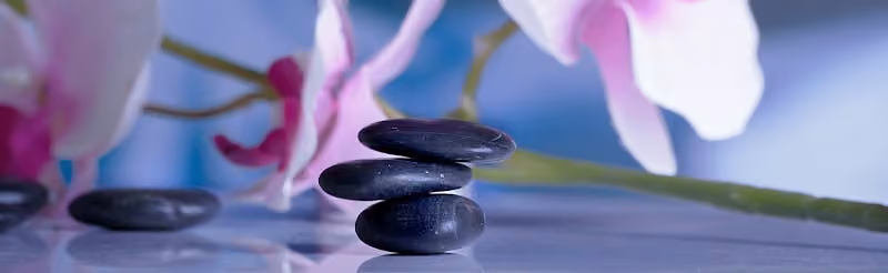 Wellness Through Massage Therapy: Judy Guest, RMT