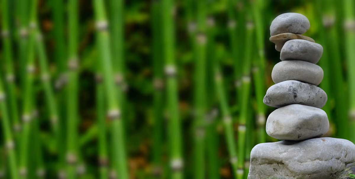 Zen Physiotherapy - Corydon